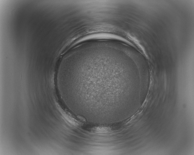 X0000070370154200606121244