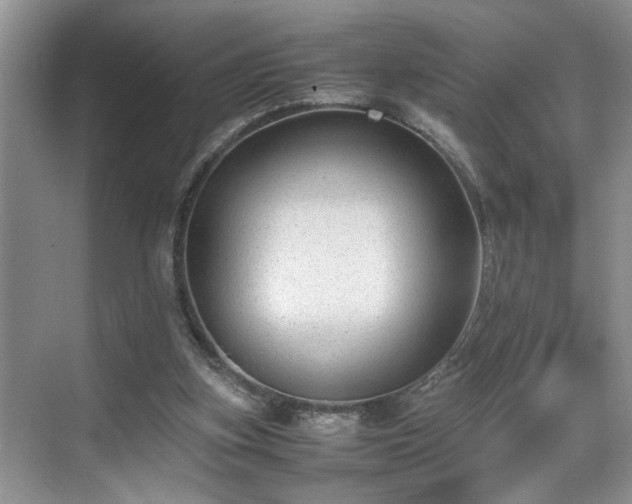 X0000070370155200606121244