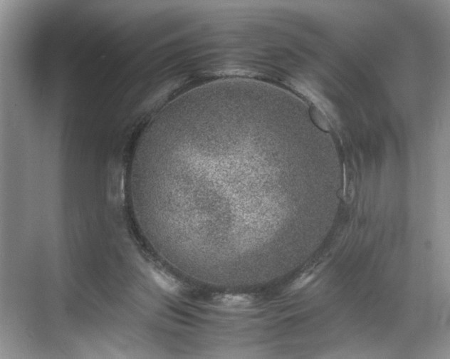 X0000070370157200606121244