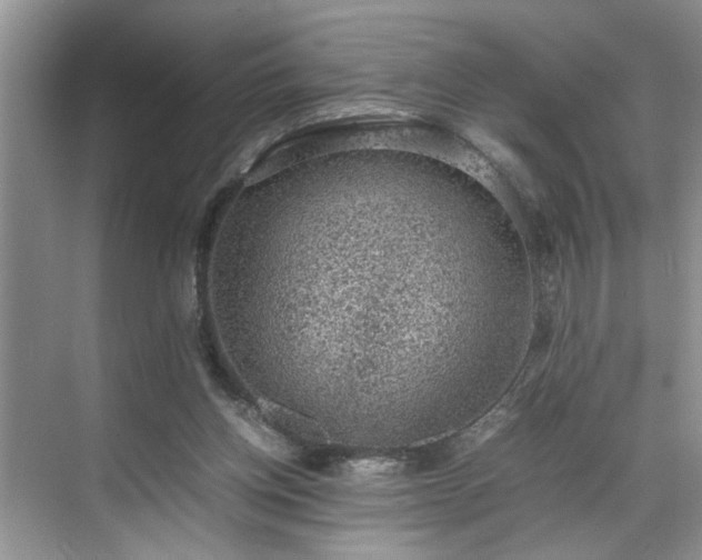 X0000070370158200606121244