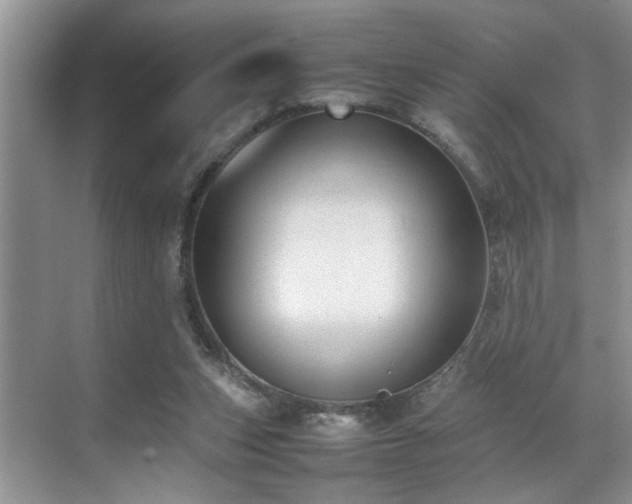 X0000070370159200606121244