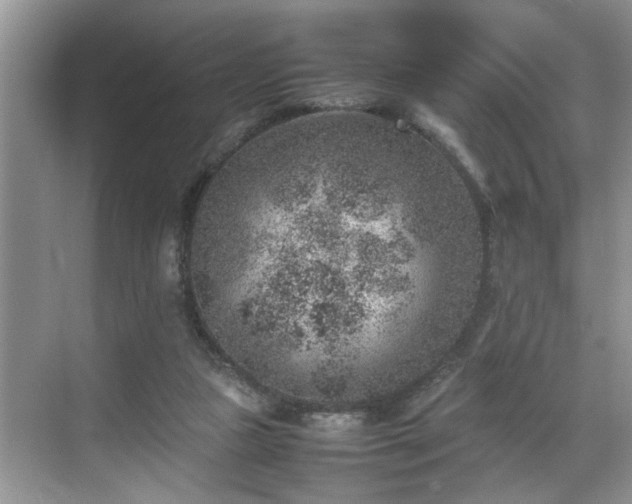 X0000070370161200606121244