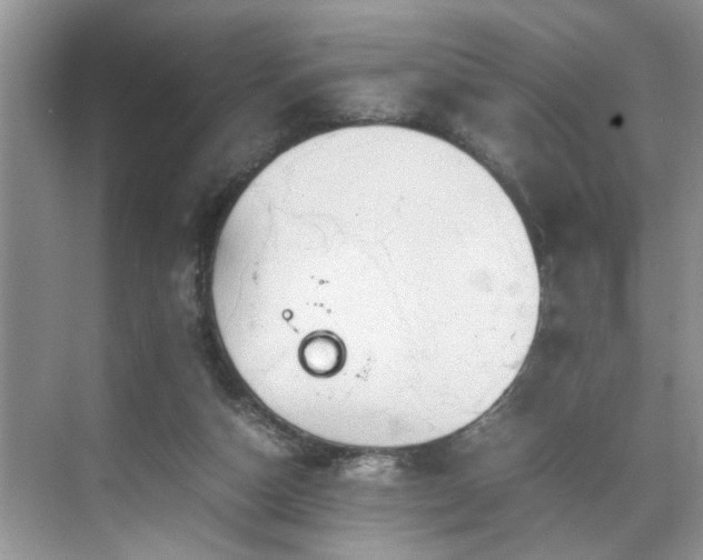 X0000070370162200606121244