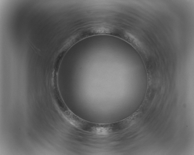 X0000070370163200606121244