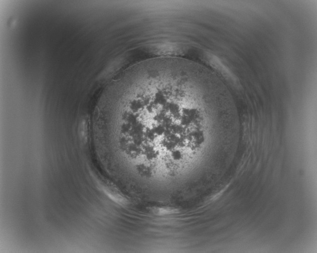 X0000070370165200606121244