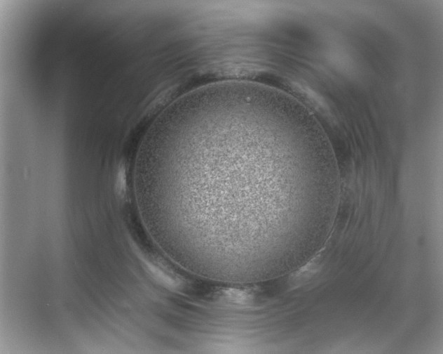 X0000070370166200606121244