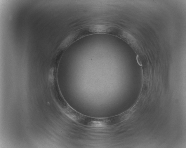 X0000070370167200606121244