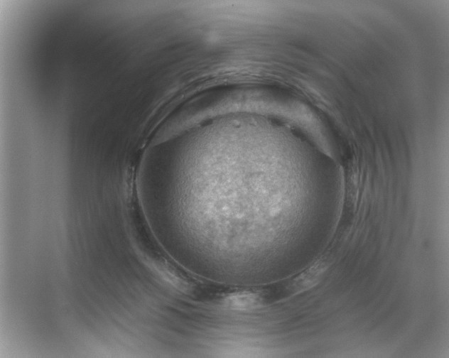 X0000070370168200606121244