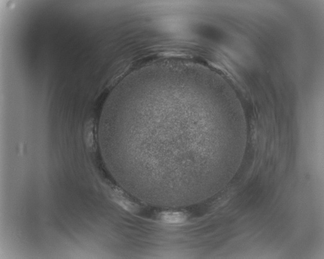 X0000070370169200606121244