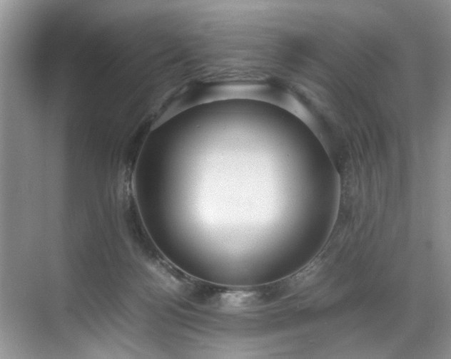 X0000070370172200606121244