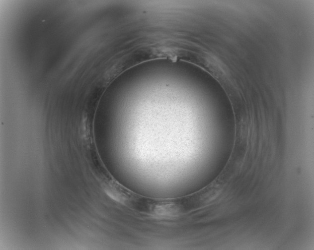 X0000070370173200606121244