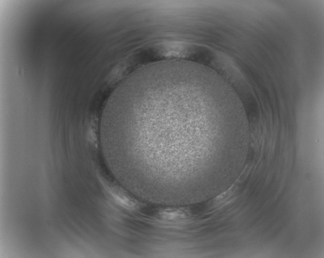 X0000070370175200606121244