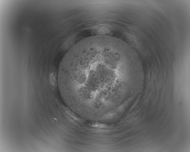 X0000070370177200606121244