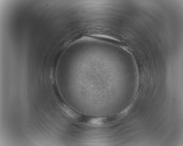 X0000070370178200606121244