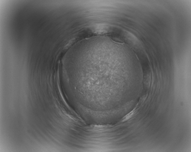 X0000070370180200606121245