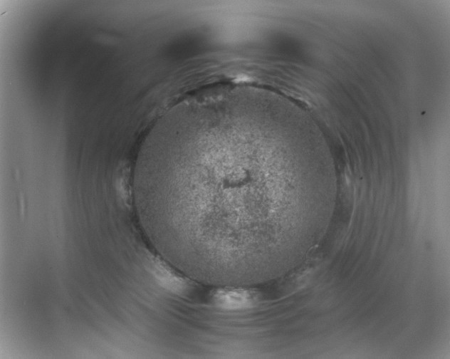 X0000070370181200606121245