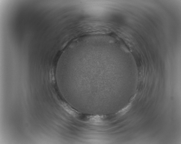 X0000070370182200606121245