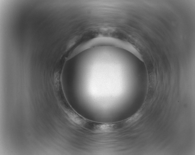 X0000070370184200606121245