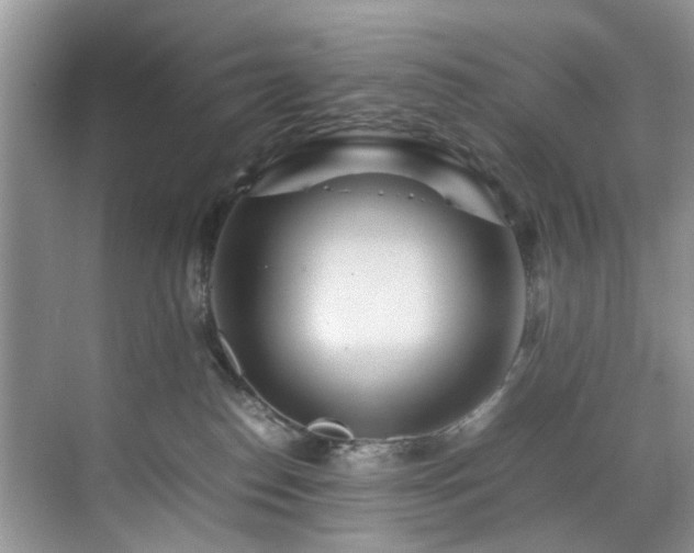 X0000070370186200606121245