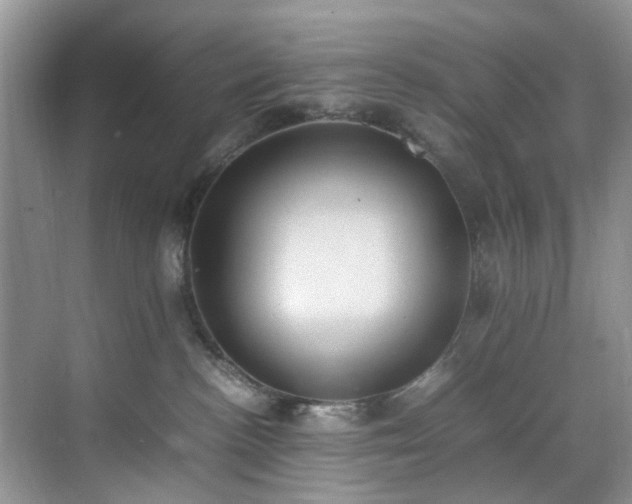 X0000070370188200606121245