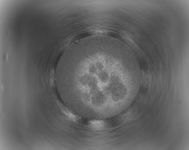 X0000070370189200606121245