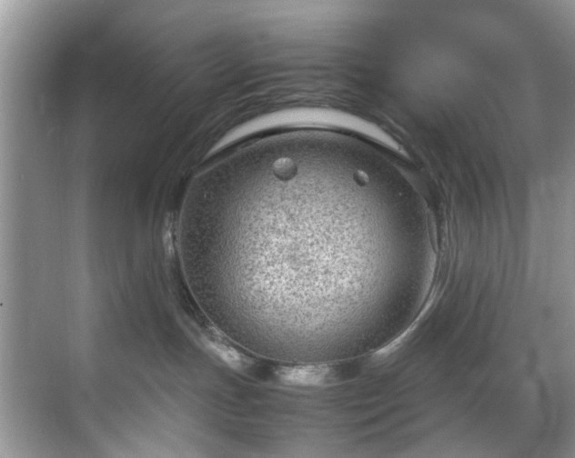 X0000070370191200606121245