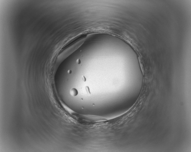 X0000070370193200606121244