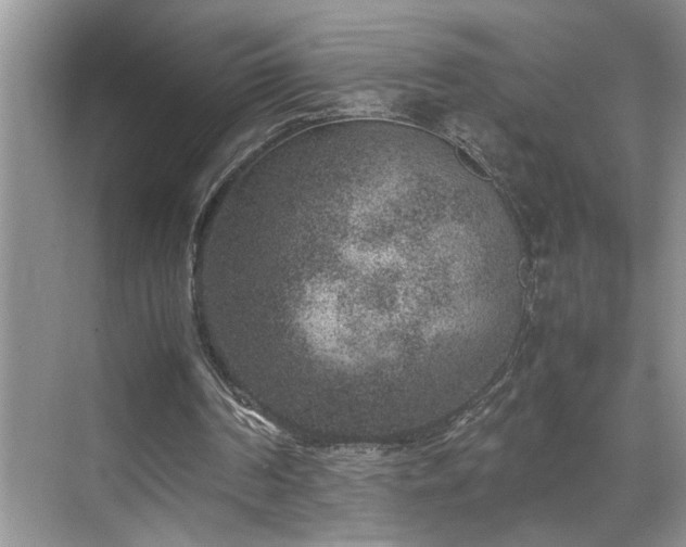 X0000070370194200606121244