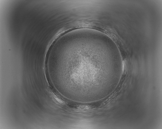 X0000070370195200606121244