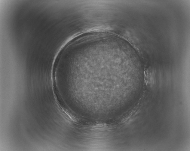 X0000070370196200606121244