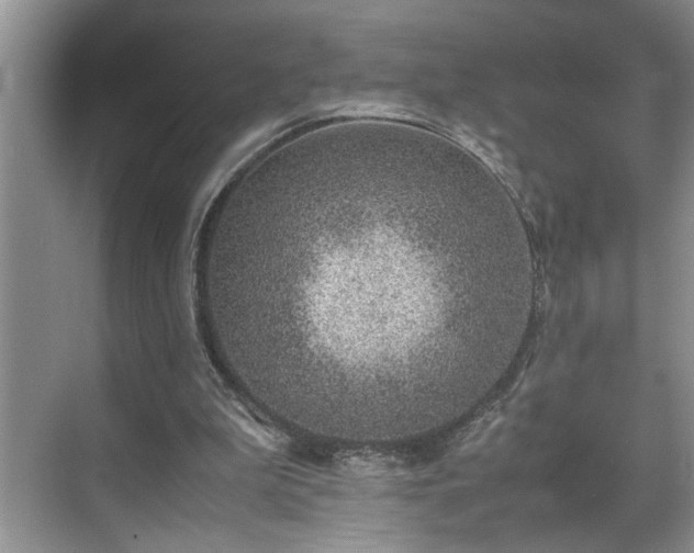 X0000070370199200606121244