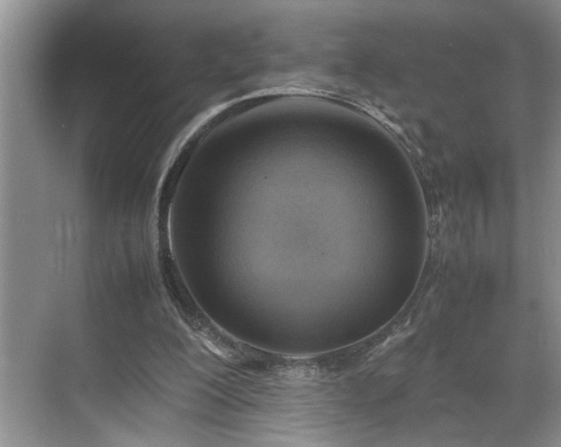 X0000070370200200606121244