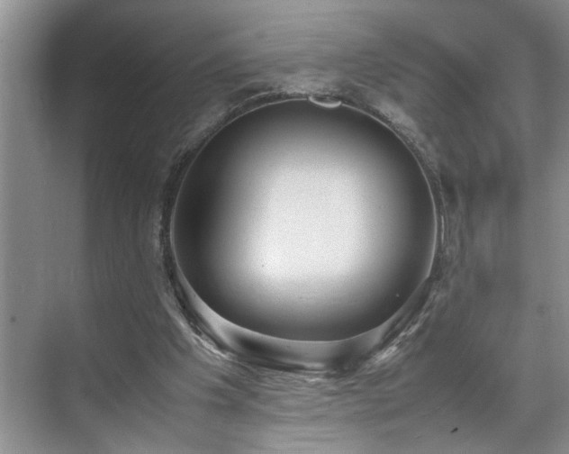 X0000070370201200606121244