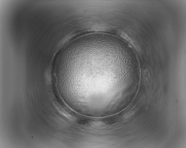 X0000070370203200606121244