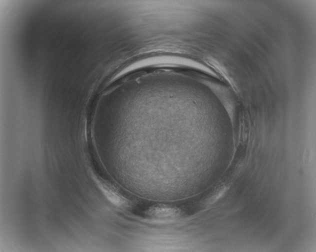 X0000070370205200606121244