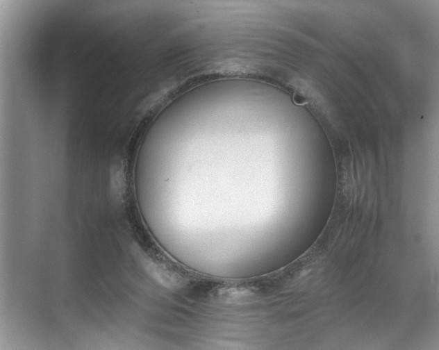 X0000070370208200606121244