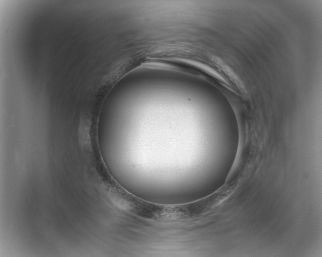 X0000070370209200606121244