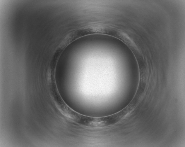 X0000070370213200606121244