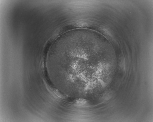 X0000070370214200606121244