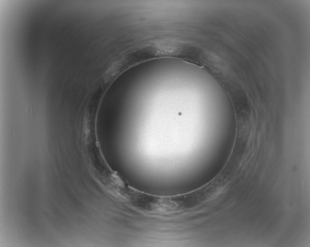 X0000070370215200606121244