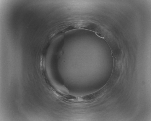 X0000070370219200606121243