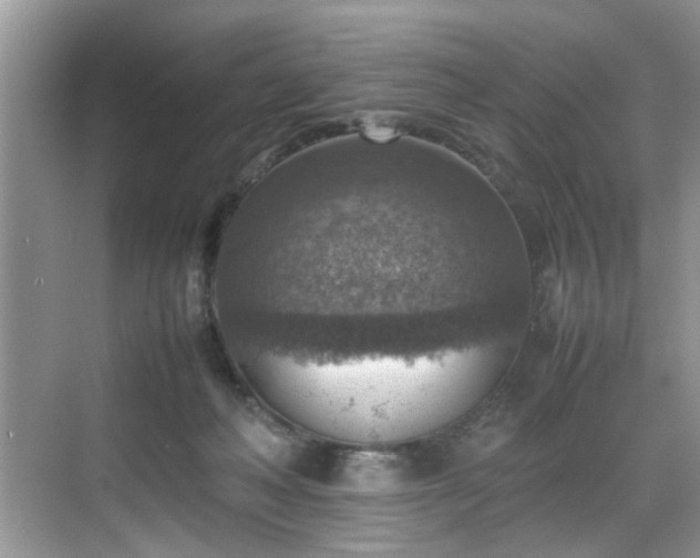 X0000070370222200606121243