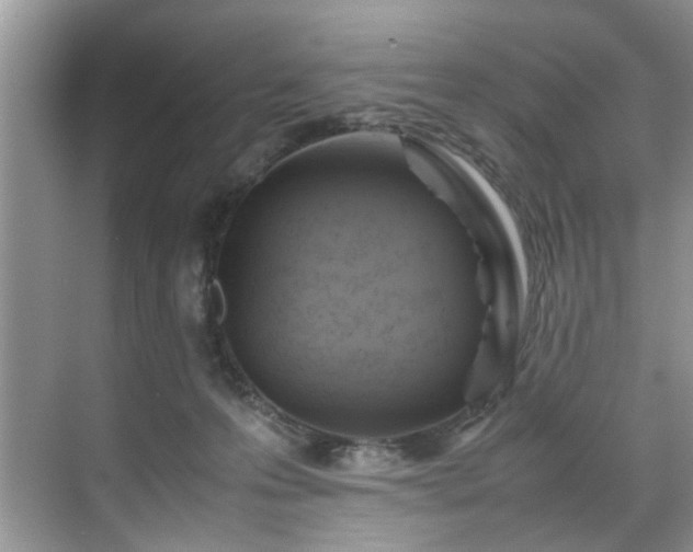 X0000070370223200606121243