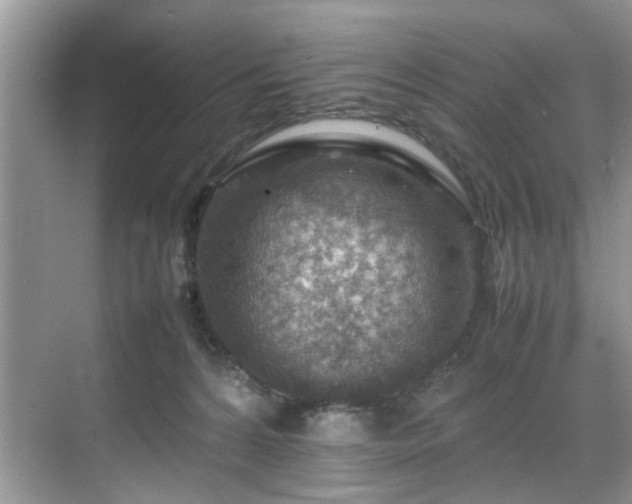 X0000070370224200606121243