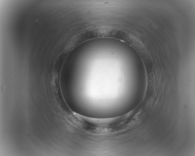 X0000070370225200606121243