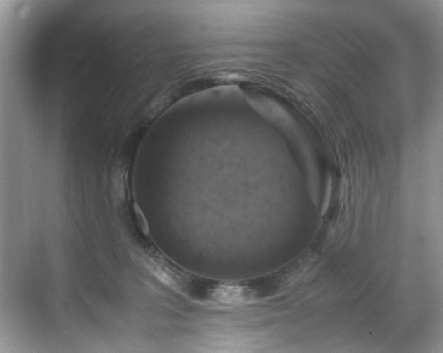 X0000070370227200606121243