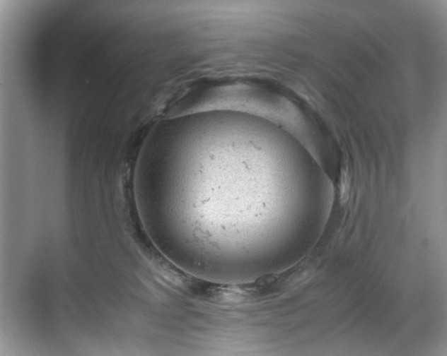 X0000070370229200606121243