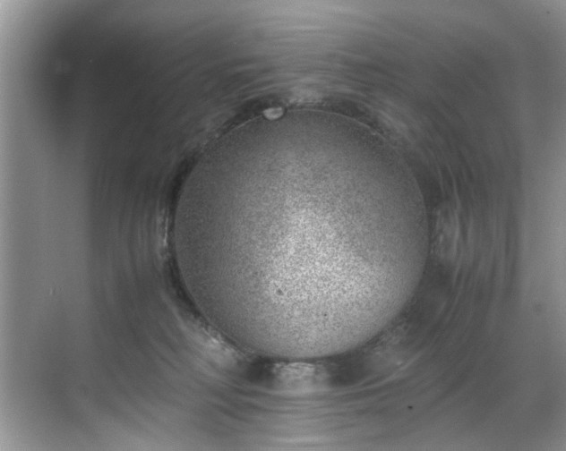 X0000070370230200606121243