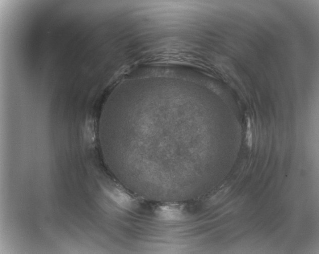 X0000070370232200606121243