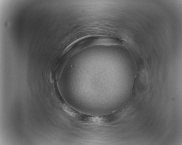 X0000070370233200606121243